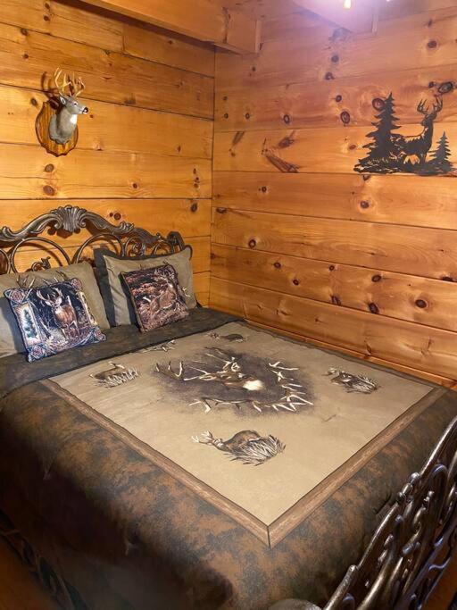 Bear Country Cabin Сев'єрвілл Екстер'єр фото